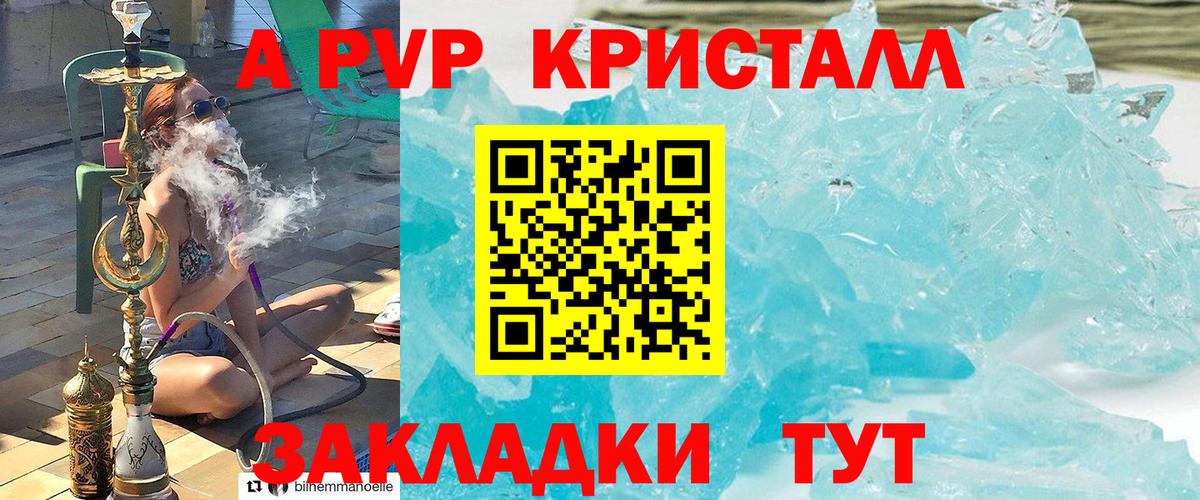 Alfa_PVP СК КРИС Щёлково