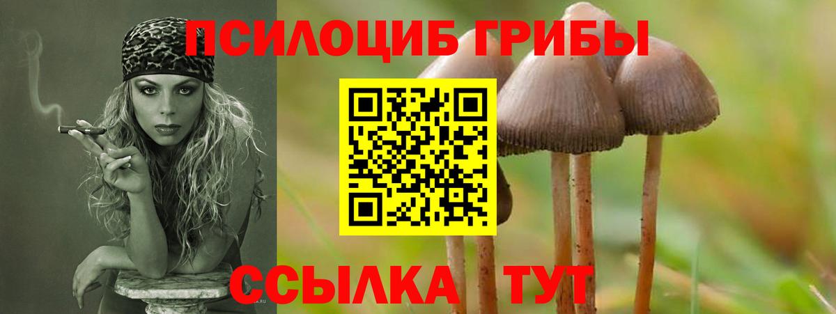 Щёлково  Галлюциногенные грибы мицелий  Вход с VPN 
